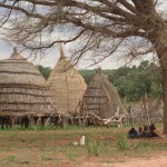 Habitat traditionnel - Ayorou (Niger)
