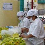 Transformation de la production fruitière par la coopérative de producteurs - Piura (Pérou)